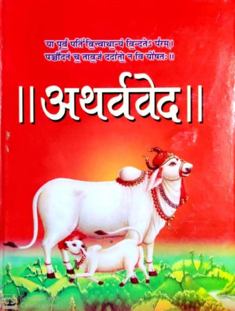 the Veda  in hindi