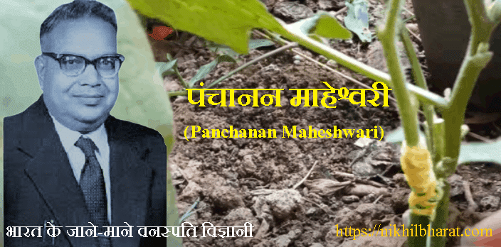 पंचानन माहेश्वरी की जीवनी | Panchanan Maheshwari Biography In Hindi